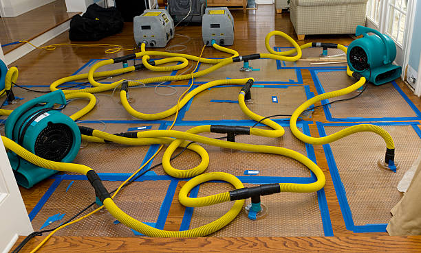 Professional Sewage Cleanup technician working in Bellingham, MA